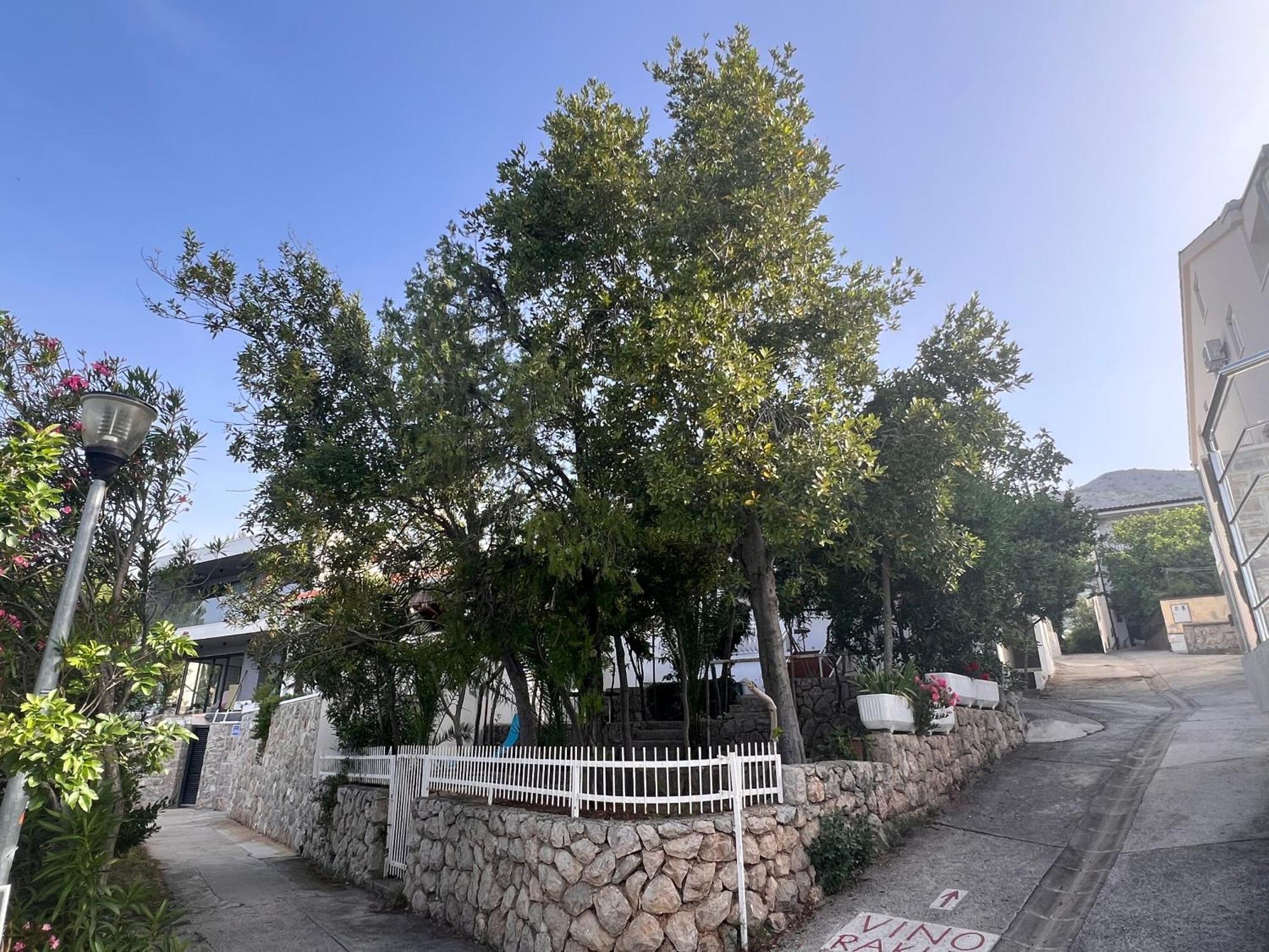 Sea Breeze Starigrad Paklenica